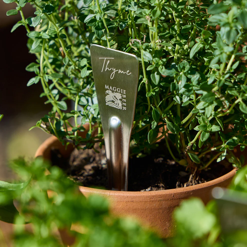 Maggie Beer Herb Stakes - Image 4