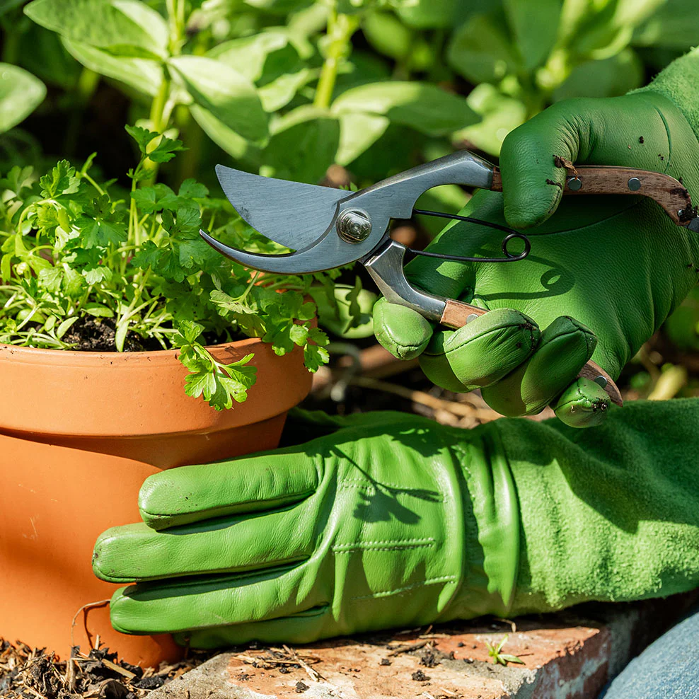 Pruning Secateurs 200mm - Image 3